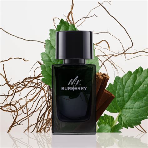 mr burberry tester|mr burberry eau de parfum.